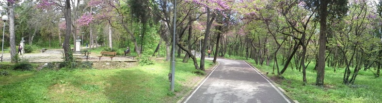 Парк Аязмото напролет